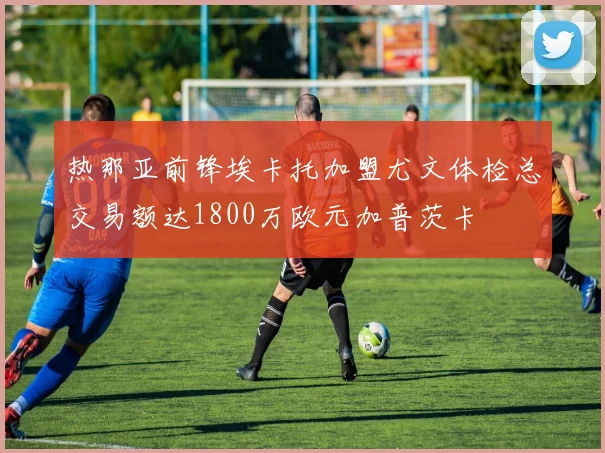 热那亚前锋埃卡托加盟尤文体检总交易额达1800万欧元加普茨卡