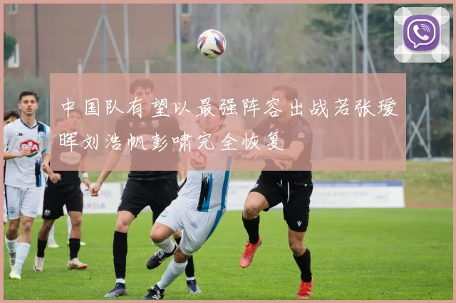 中国队有望以最强阵容出战若张瑷晖刘浩帆彭啸完全恢复