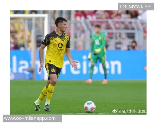 安塞尔米诺告别多特蒙德感慨六个月的难忘时光与感激之情